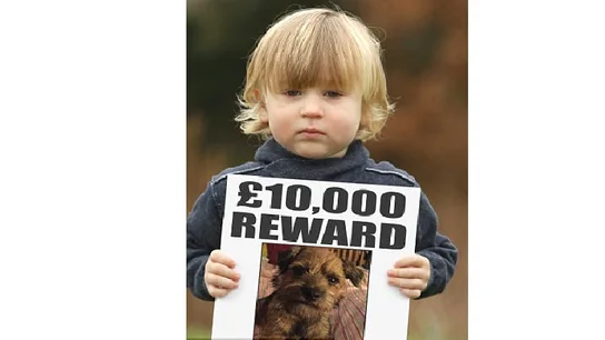 El niño con el cartel de la recompensa El niño con el cartel de la recompensa