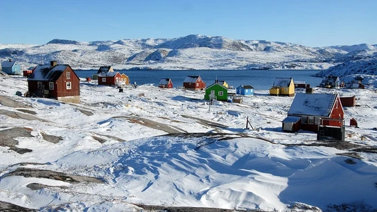 Groenlandia Groenlandia