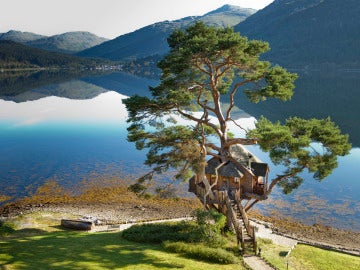 The Lodge on Loch Goil. Casa en el árbol
