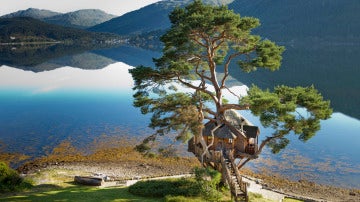The Lodge on Loch Goil. Casa en el árbol
