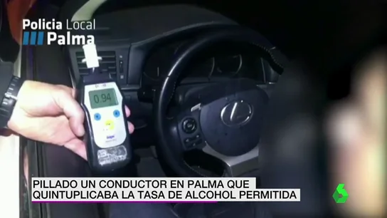 PALMA COCHE PALMA COCHE