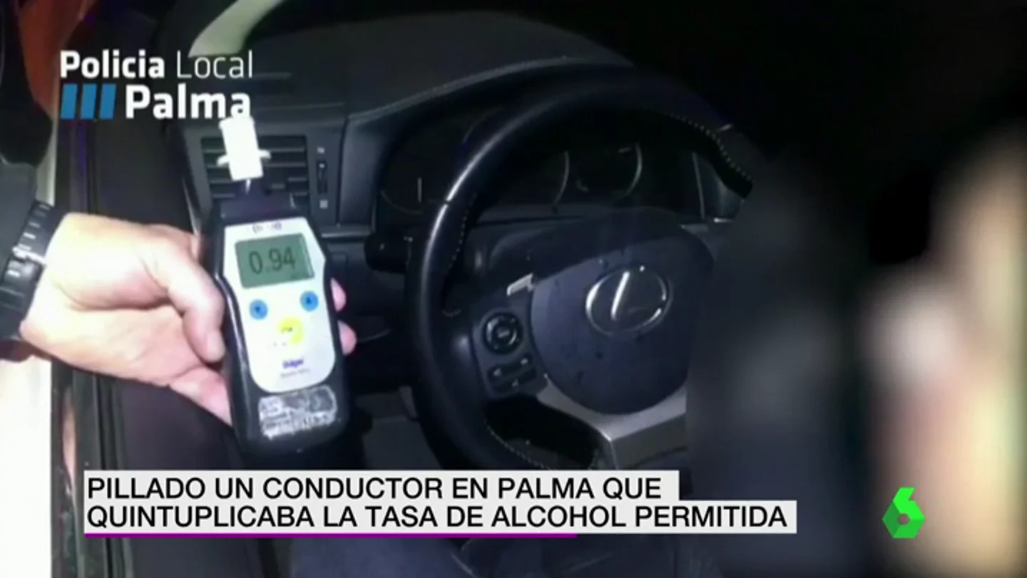 PALMA COCHE PALMA COCHE