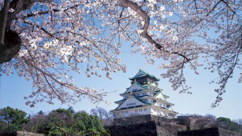 Una promoción perfecta para que puedas viajar por fin a Japón 