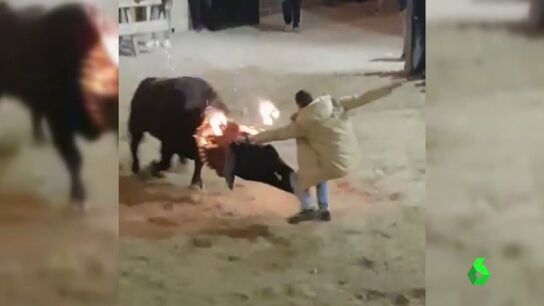 TORO