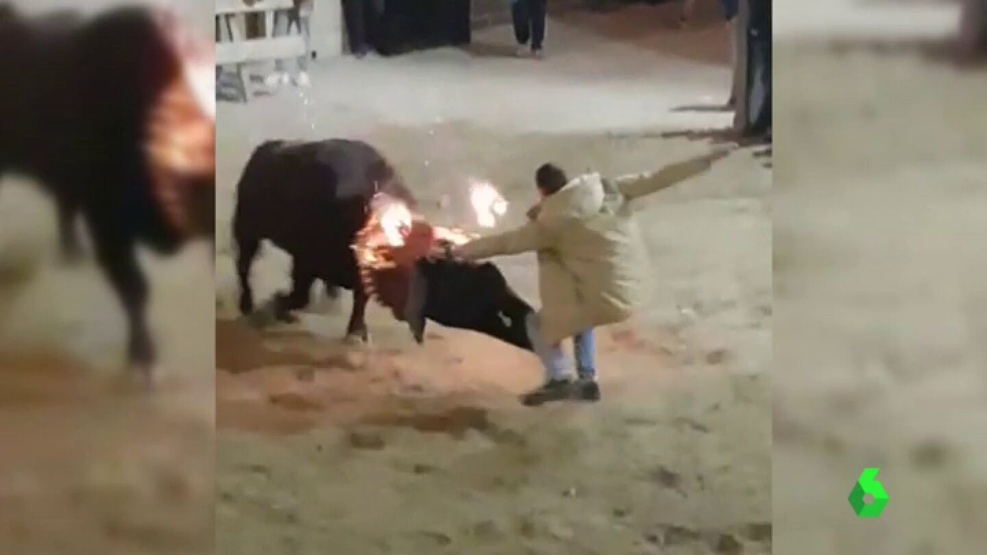 TORO