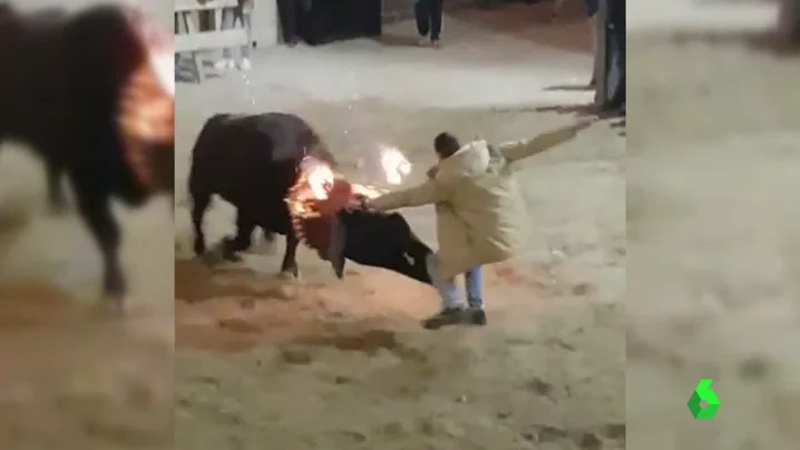 TORO TORO