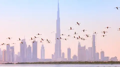 Dubai Cinco cosas increíbles para hacer con niños en el mundo
