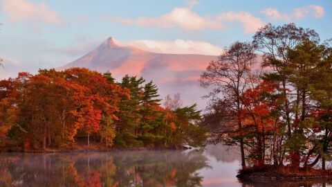 Una promoción perfecta para que puedas viajar por fin a Japón 