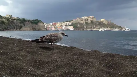Procida Los colores más bonitos de Italia