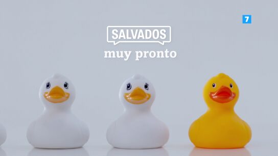 Salvados