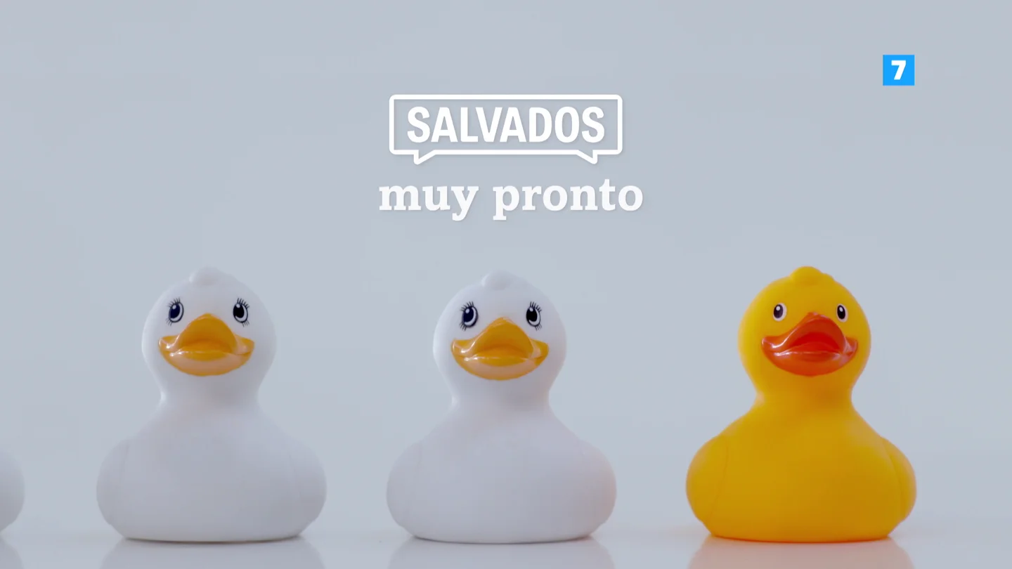 Salvados Salvados