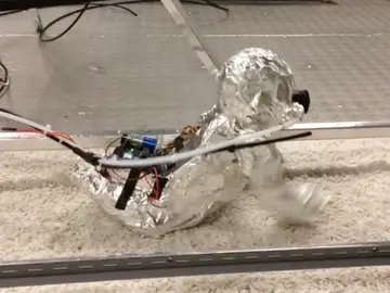 Robot Bebé Robot Bebé