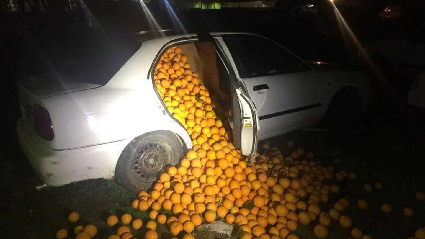 Las naranjas robadas en unos de los vehículos Las naranjas robadas en unos de los vehículos