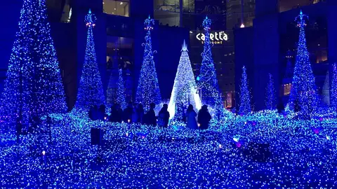 Festival de las Luces de invierno Japón