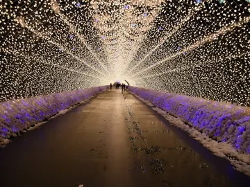 Festival de las Luces de invierno Festival de las Luces de invierno