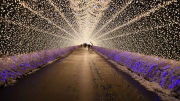 Festival de las Luces de invierno