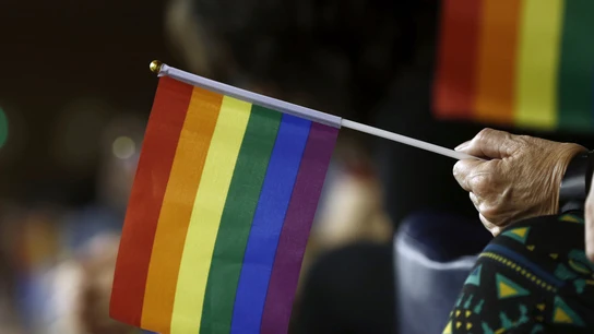 Bandera LGTBI (archivo) LGTBI, COLECTIVO TRANSGÉNERO