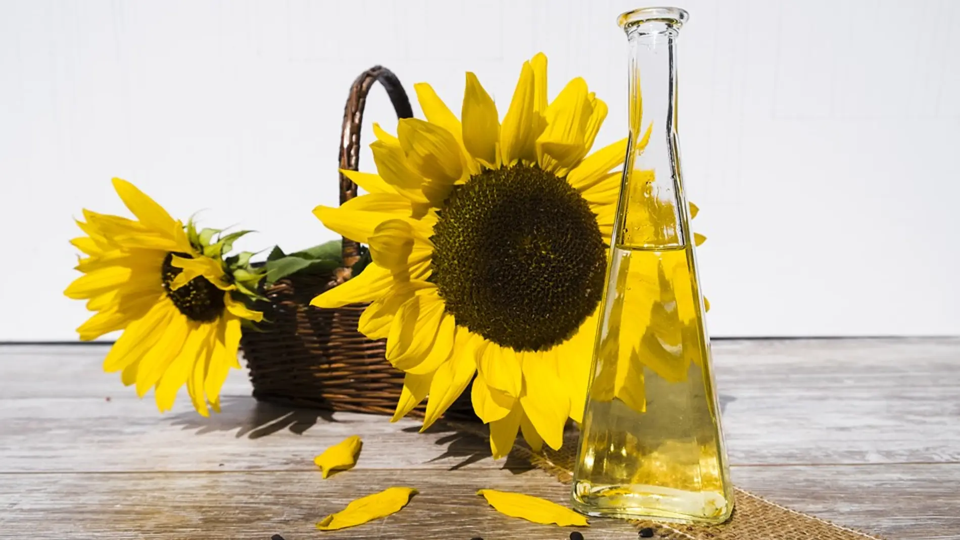 El consumo de aceite de girasol o de pescado dana el higado en ratas