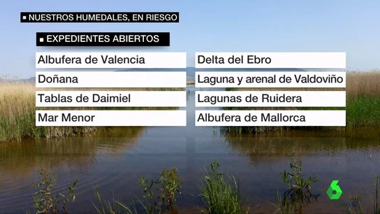 humedales humedales