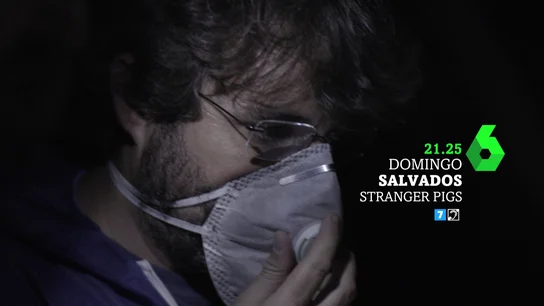 Jordi Évole en Salvados Jordi Évole en Salvados