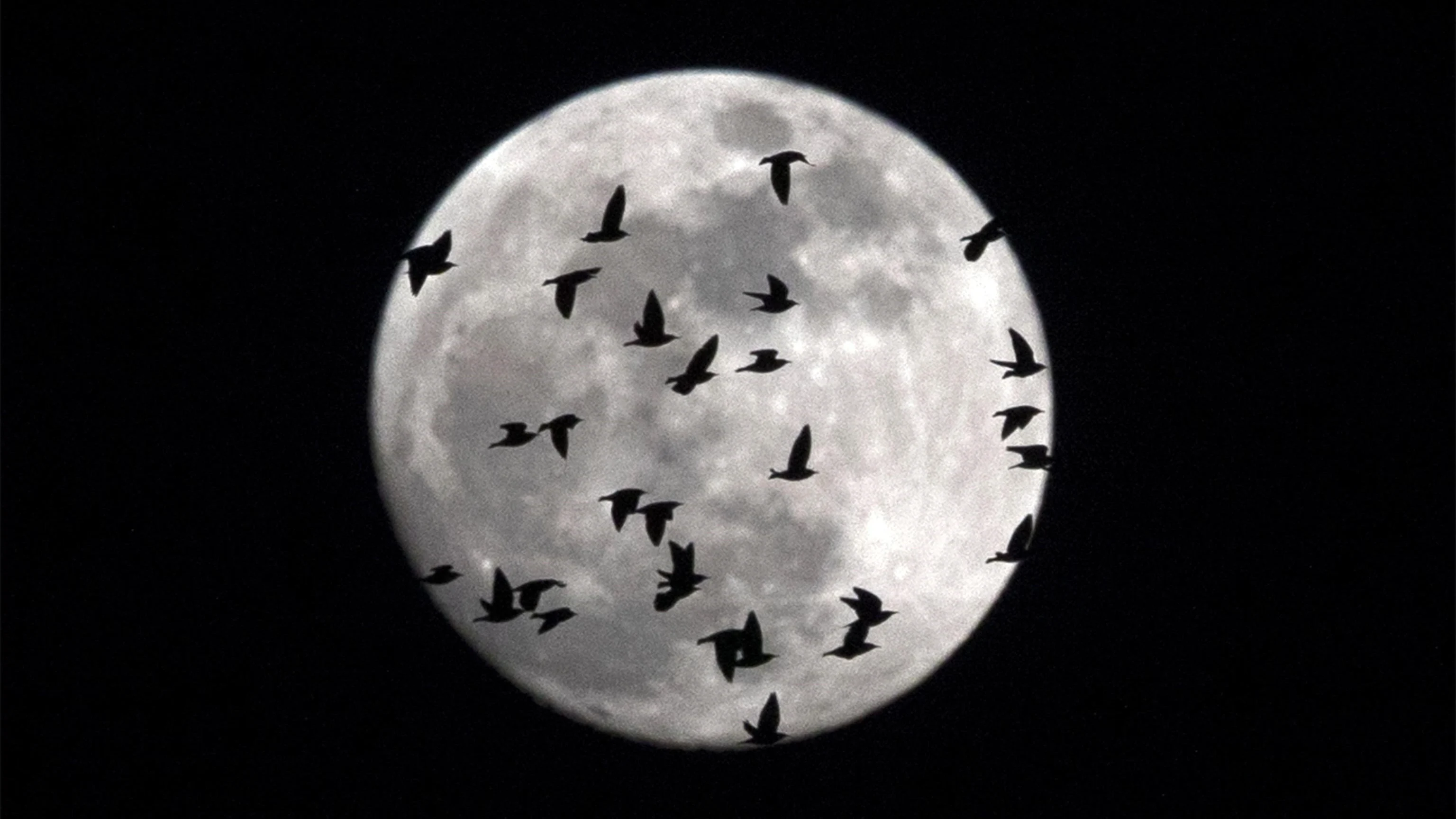 La 'superluna' fotografiada desde Italia