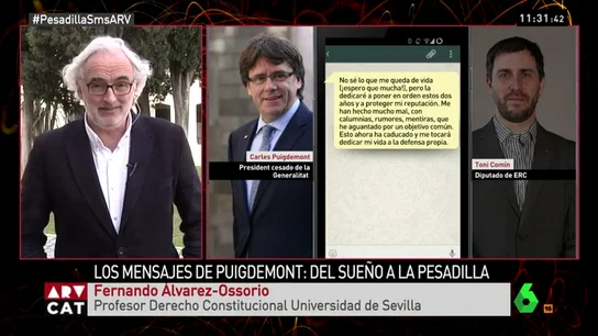 Fernando Álvarez-Ossorio: "Toni Comín fue incauto, la querella tiene poco recorrido porque expuso la comunicación" Fernando Álvarez-Ossorio: "Toni Comín fue incauto, la querella tiene poco recorrido porque expuso la comunicación"