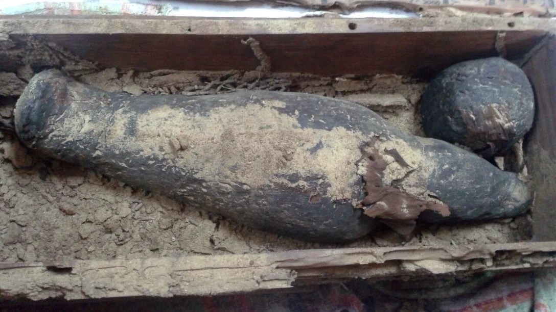 Ataúd encontrado al sur de las pirámides de Guiza