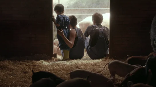 Una pareja propietaria de una granja ecológica en Cataluña Una pareja propietaria de una granja ecológica en Cataluña