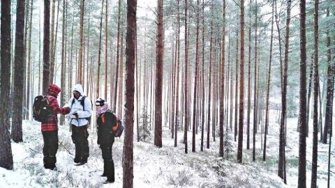 Descubre el mundo a través del Geocaching 