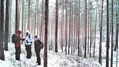 Geocaching Descubre el mundo a través del Geocaching