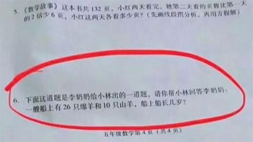 Problema de matemáticas propuesto en un colegio de primaria en China