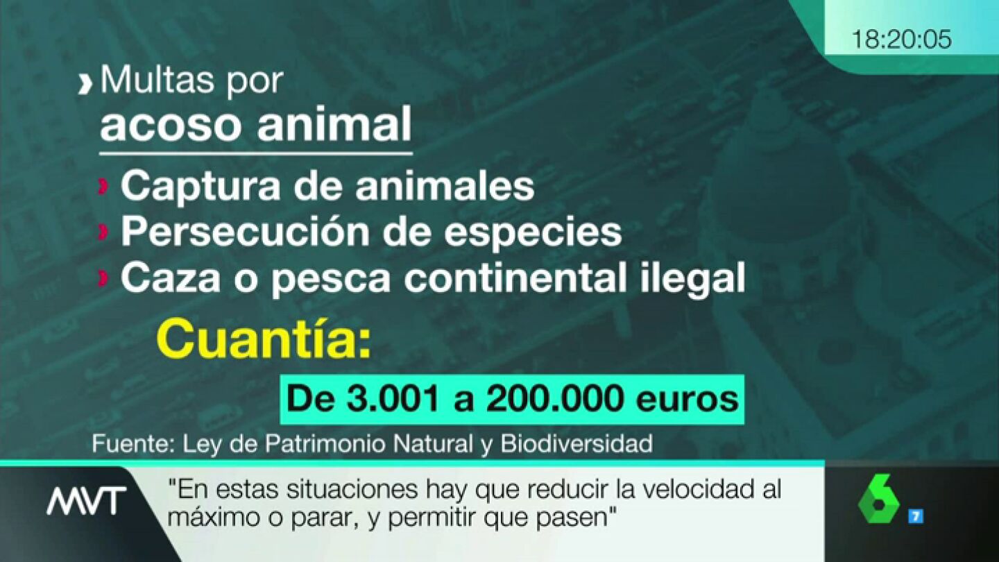 ANIMALES