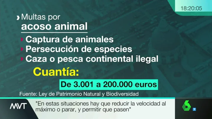 ANIMALES