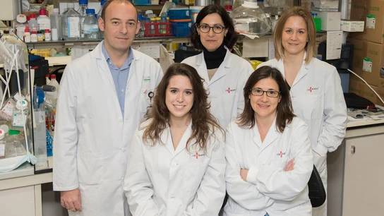 Identifican una proteina inhibidora de la resistencia a la radioterapia en glioblastoma Identifican una proteina inhibidora de la resistencia a la radioterapia en glioblastoma
