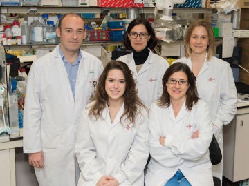 Identifican una proteina inhibidora de la resistencia a la radioterapia en glioblastoma Identifican una proteina inhibidora de la resistencia a la radioterapia en glioblastoma