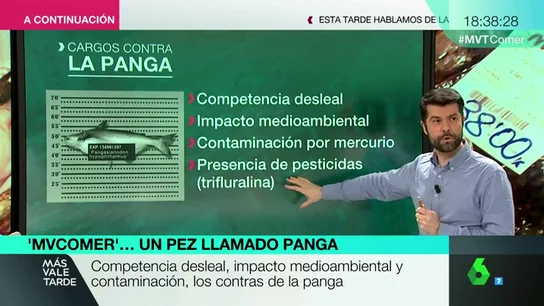 PANGA PANGA
