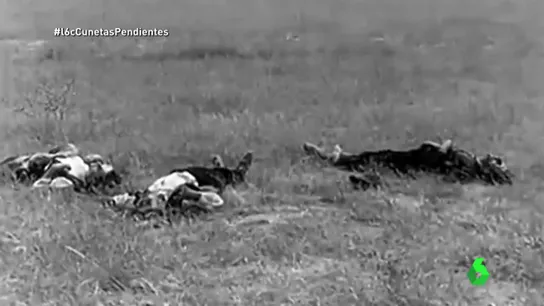 Tres cadáveres Tres cadáveres