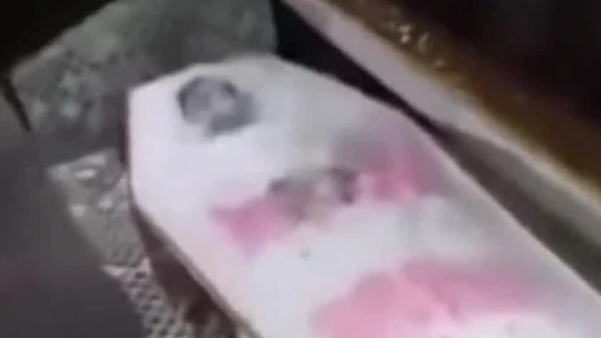 Una imagen del ataúd abierto Una imagen del ataúd abierto