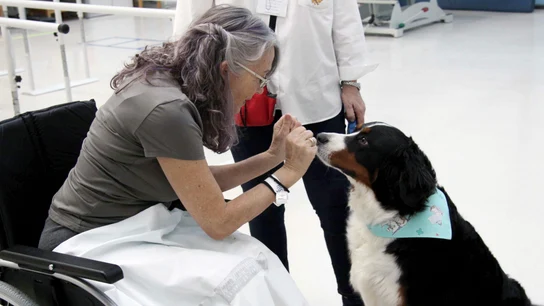 Fotografía facilitada por el Hospital La Fe Fotografía facilitada por el Hospital La Fe