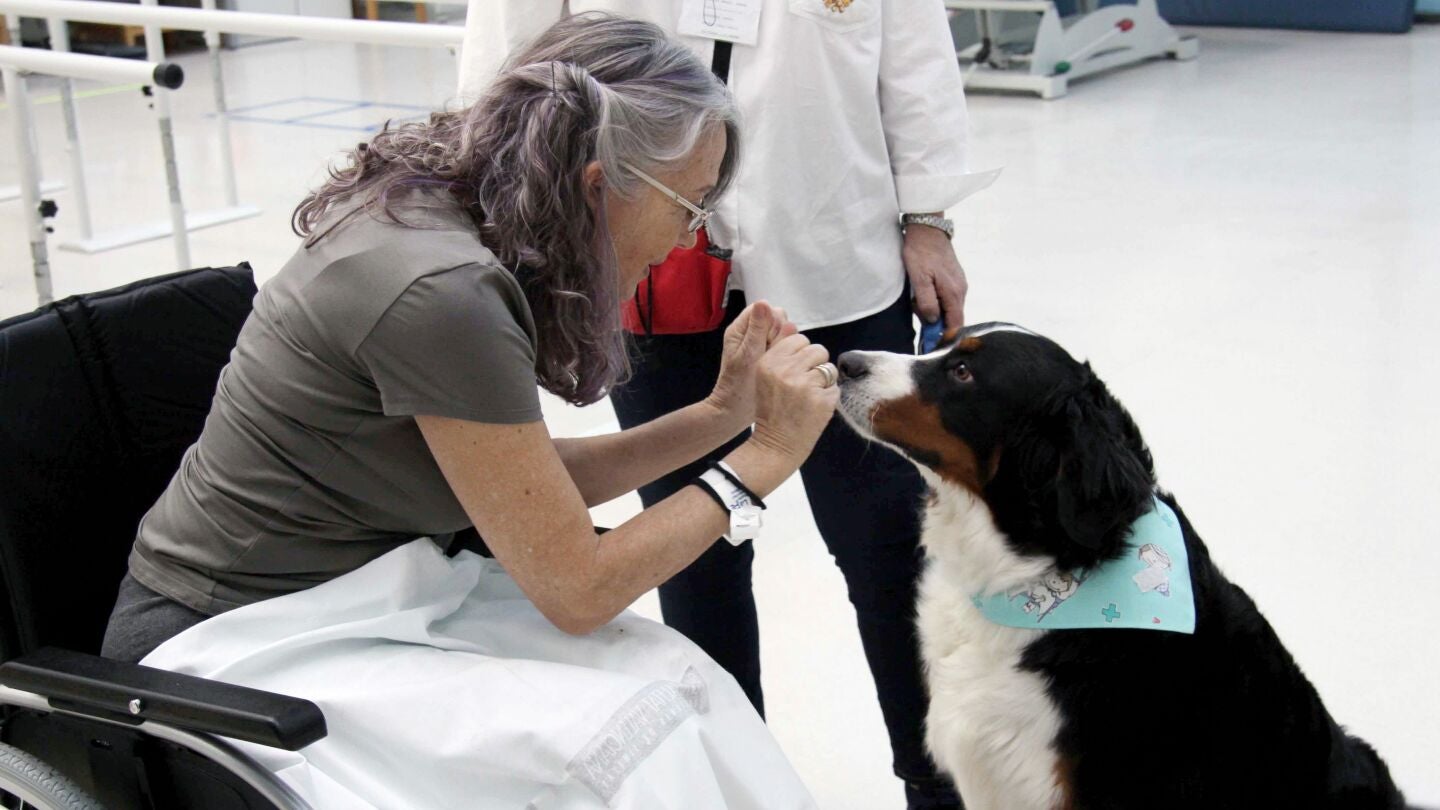 Fotograf&iacute;a facilitada por el Hospital La Fe