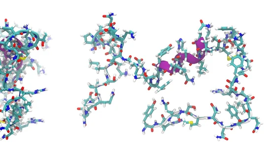 Foto de archivo Foto de archivo