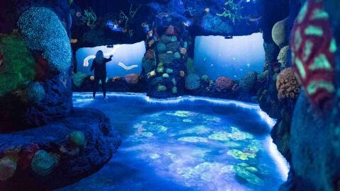 Nuevas atracciones en el corazón de Manhattan 