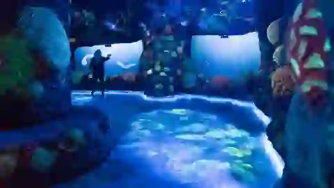 National Geographic Encounter: Ocean Odyssey Nuevas atracciones en el corazón de Manhattan