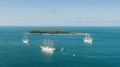 Isla Gorriti, un paraíso natural frente a la playa más famosa de América Latina 