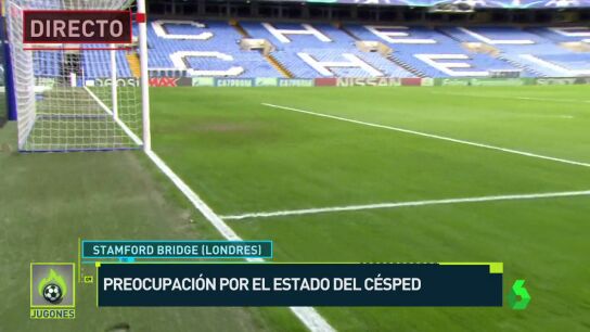 Preocupaci&oacute;n por el c&eacute;sped de Stamford Bridge