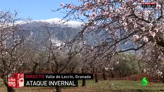 tiempo tiempo