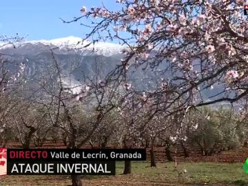 tiempo tiempo