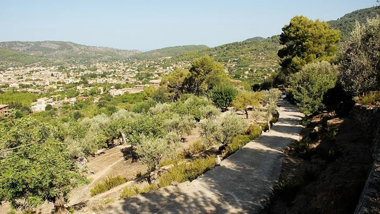 Imagen de archivo de un camino en Mallorca Imagen de archivo de un camino en Mallorca