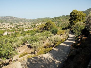 Imagen de archivo de un camino en Mallorca Imagen de archivo de un camino en Mallorca