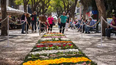 Alfombras Florales Las flores invaden Madeira
